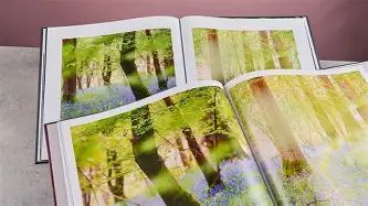 Difference Between Papier Photo Book and Agfaphoto Realimove Mc3X Explained